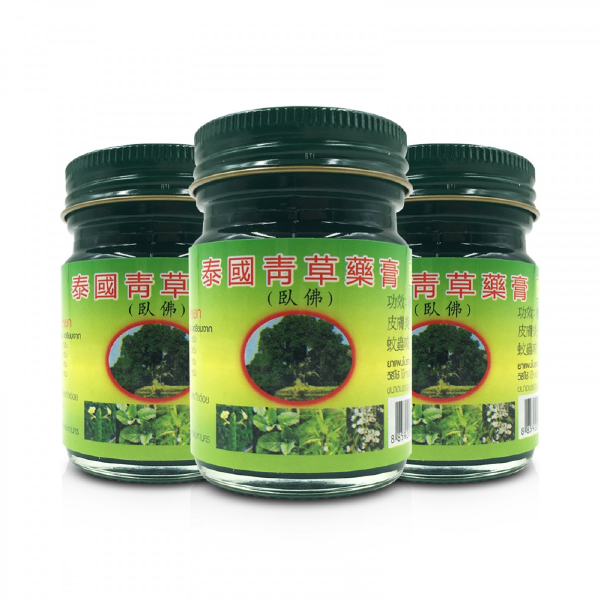 泰国青草薬膏卧佛牌50G