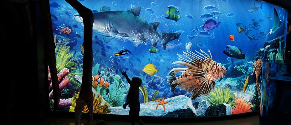 水族馆2.jpg