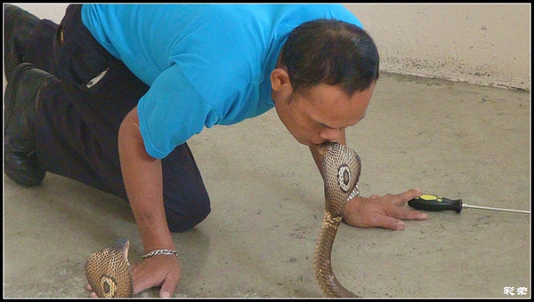 养蛇场2.jpg