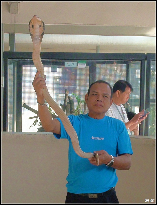 养蛇场.jpg