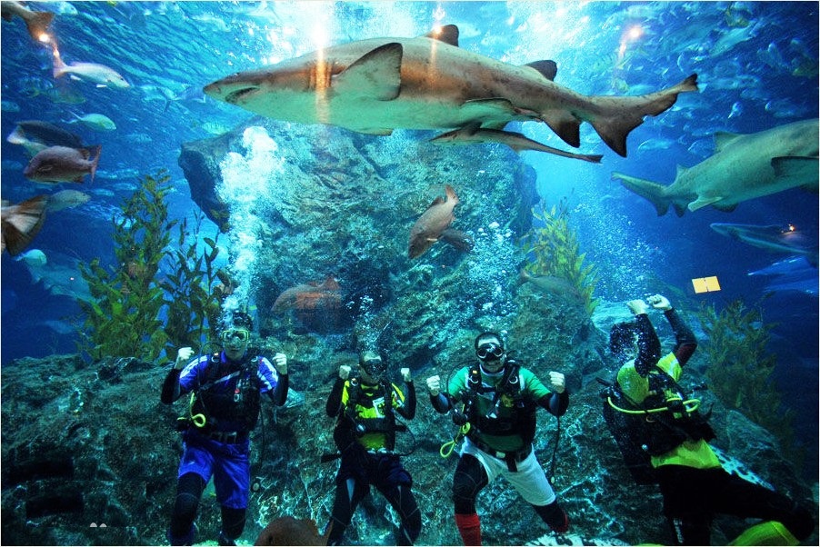 水族馆.jpg
