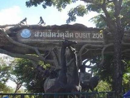 动物园.jpg
