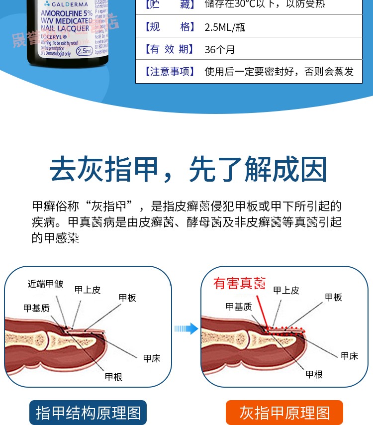 详情-03.jpg