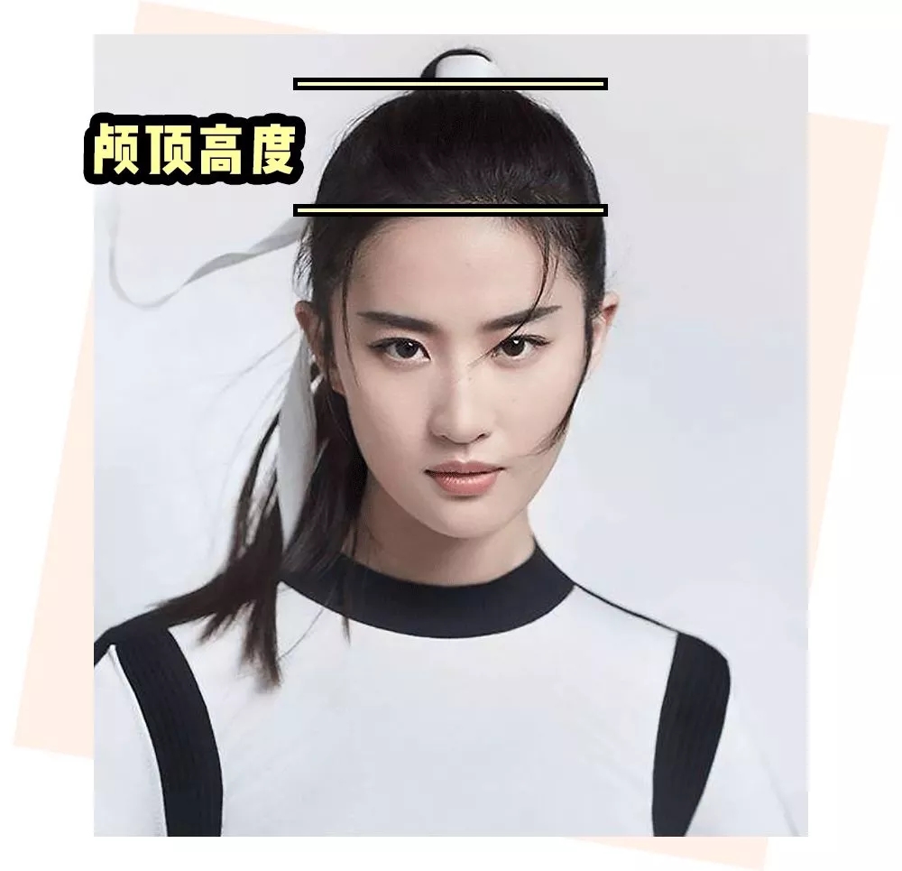 颅顶过低.jpg