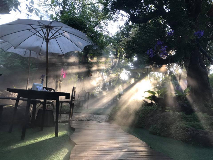 绿林仙踪下午茶2.jpg
