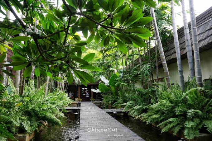 按摩体验-Fah Lanna SPA.jpg