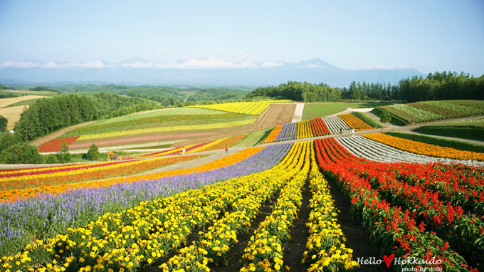 北海道.jpg