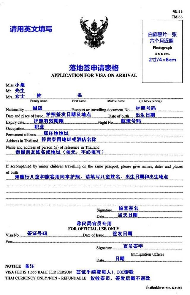 到了办落地签的地方.jpg