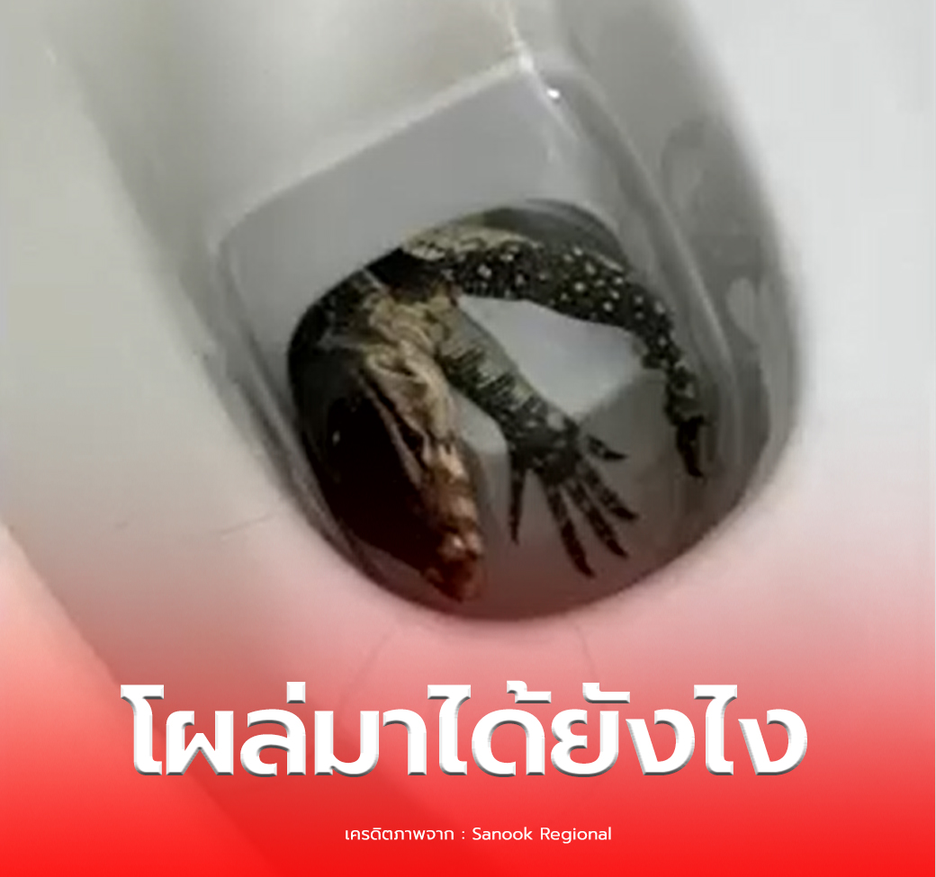 160149jpypfkq4ab8kg3ep.png