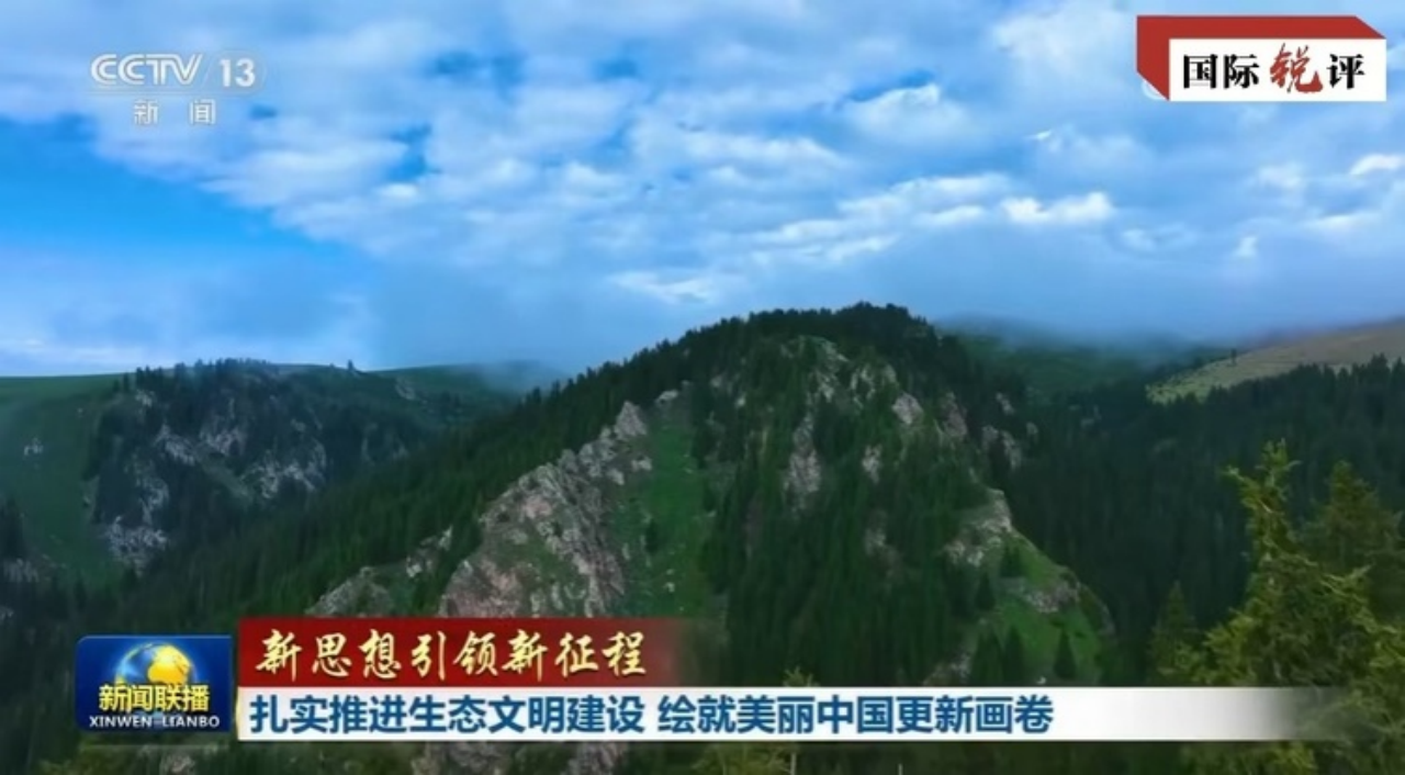 image-1.png